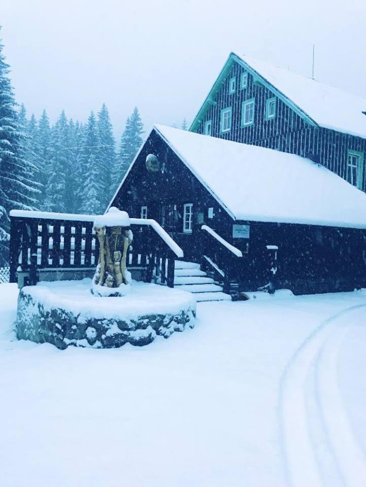 Chata - Sport - Ski Kořenov Exteriör bild